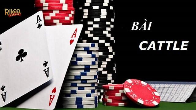 Bài Catte là trò chơi truyền thống rất được ưa thích